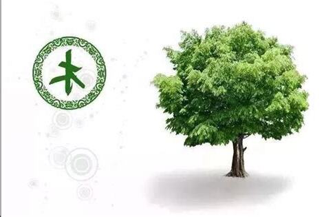 命中缺什麼