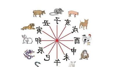 母子生肖相沖