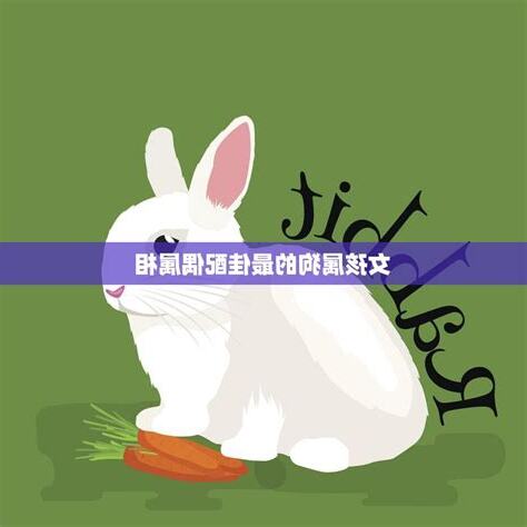 狗配兔