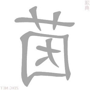 茵字意思