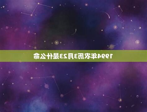 1994年什么命