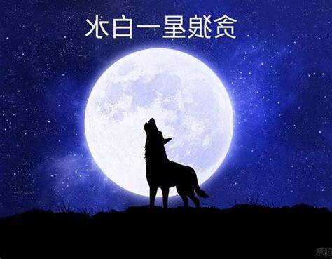 一白貪狼星