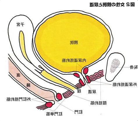 窩