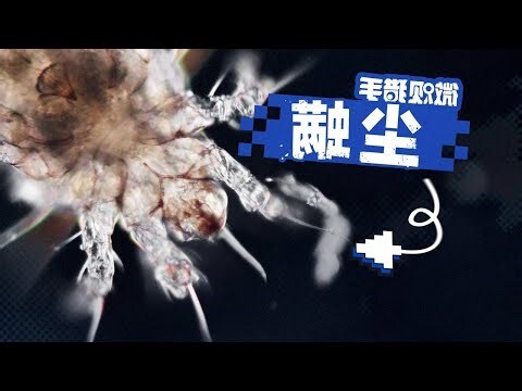 塵蟎大便