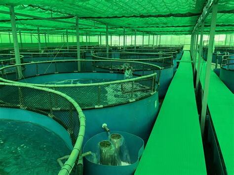 養魚設備