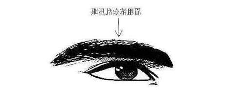 眉壓目
