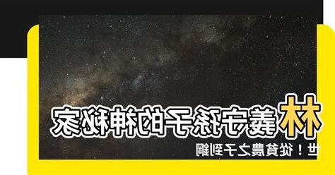 林義守孫子