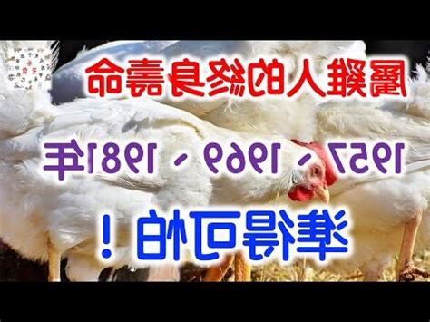 81年次屬什麼