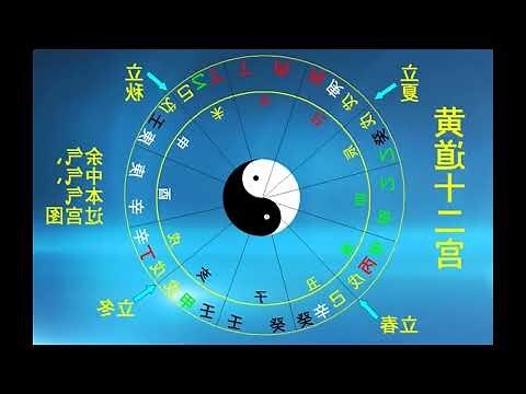 地支透干