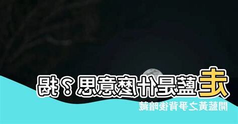 走藍是什麼意思