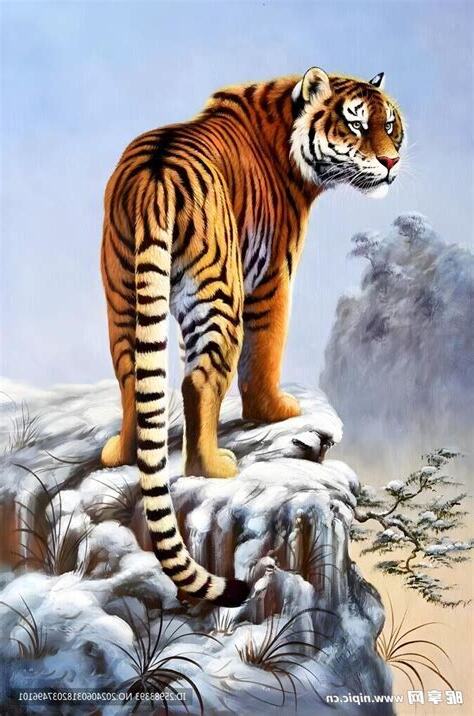 猛虎下山寓意