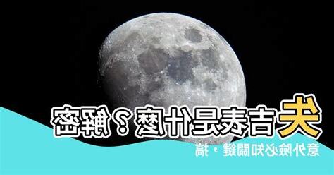失吉表是什麼