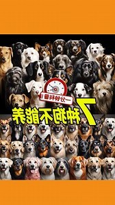 狗不能養兩隻