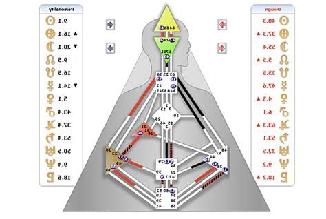 人類圖查詢系統