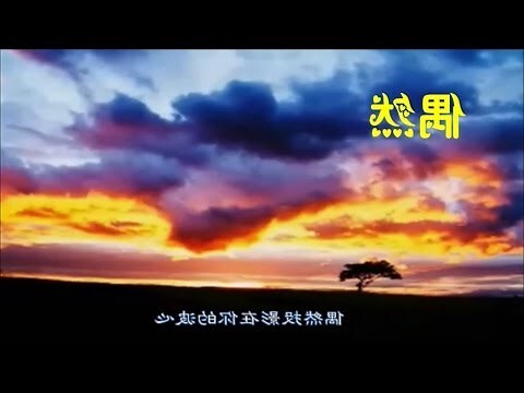 你以為的偶然