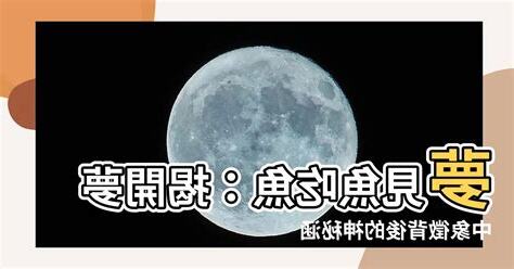 夢見魚吃魚