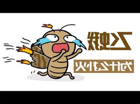 為什麼房間會有飛蛾