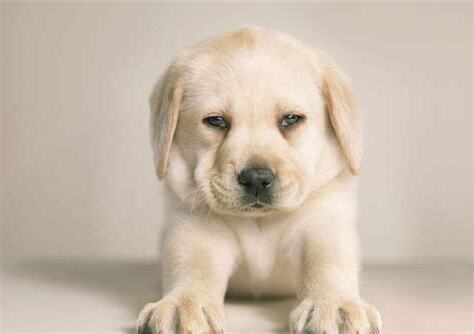 夢見自己情緒崩潰