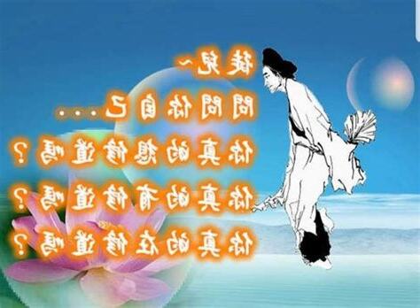 有情無情試根基