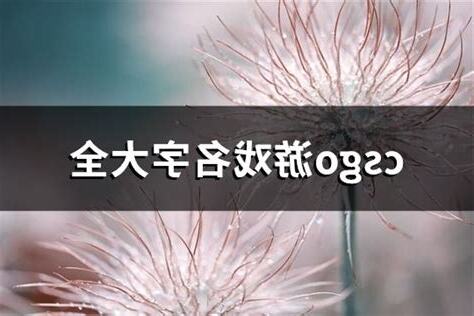 游戏名字
