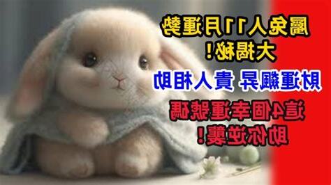 屬兔幸運號碼
