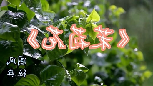 茉莉