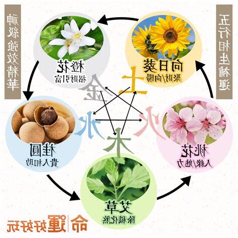 五行補運