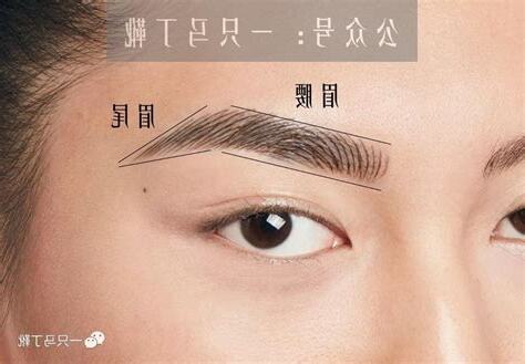 眉毛向上生