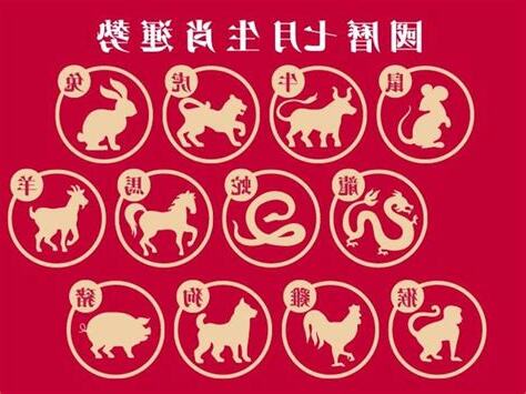 屬豬七月運勢