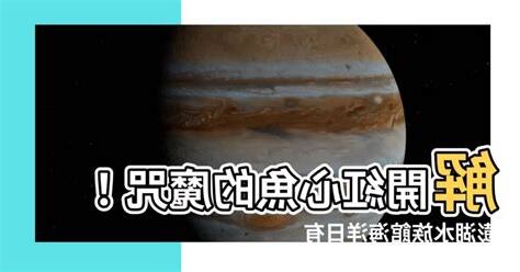 紅心魚的魔咒答案