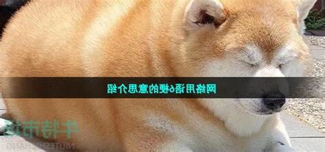 6意思