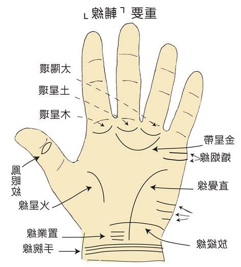 手掌橫紋多