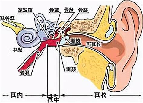 頭轉動耳朵有聲音