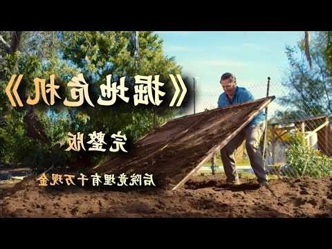 鳥死在院子裏