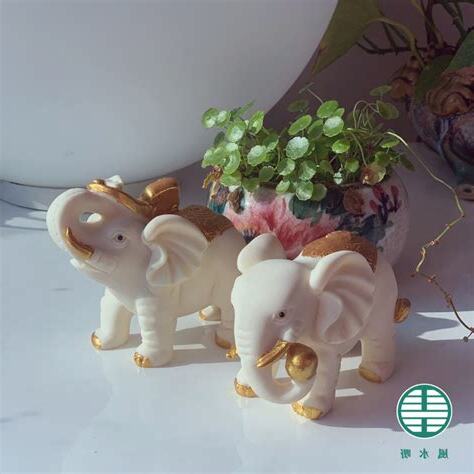風水吸水象