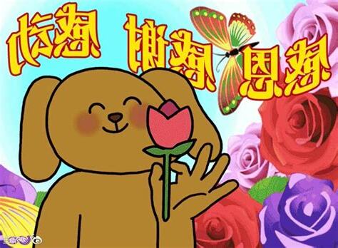 大笨狗