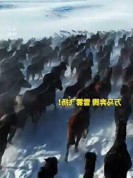 馬到成功駿馬圖