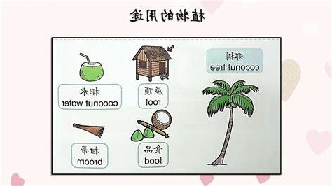 植物的用途