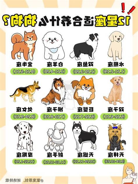 12代表什麼