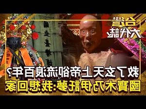 施廣大將軍