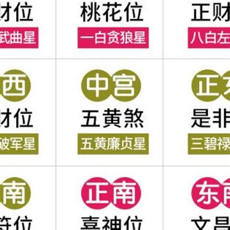兔年辦公室風水