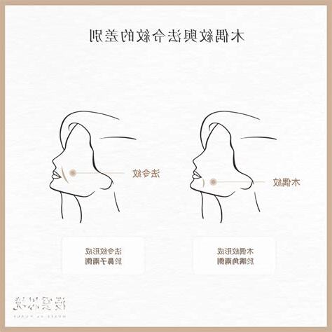 木偶紋是什麼