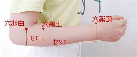 上廉穴