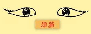 龍眼面相