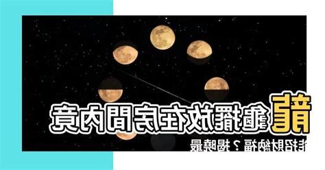 龍龜放房間