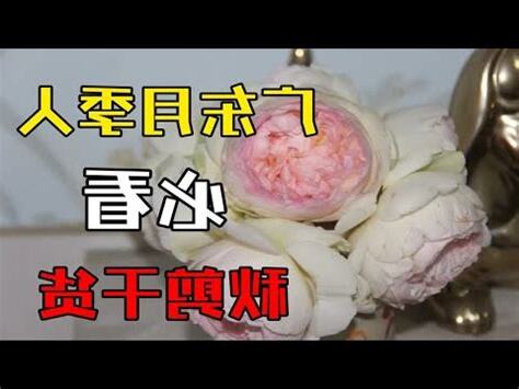 季秋是幾月