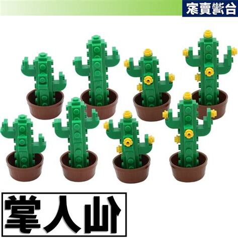 仙人掌防小人房間