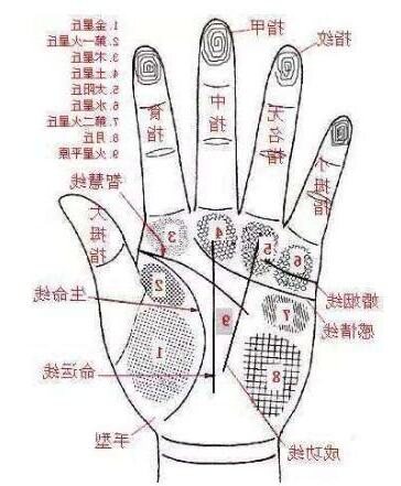 左手食指突然長痣