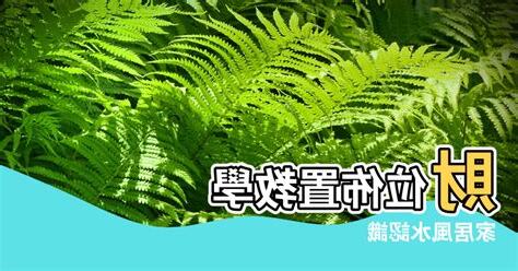 家居風水坐向