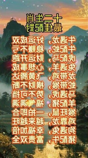 兔子生肖配对